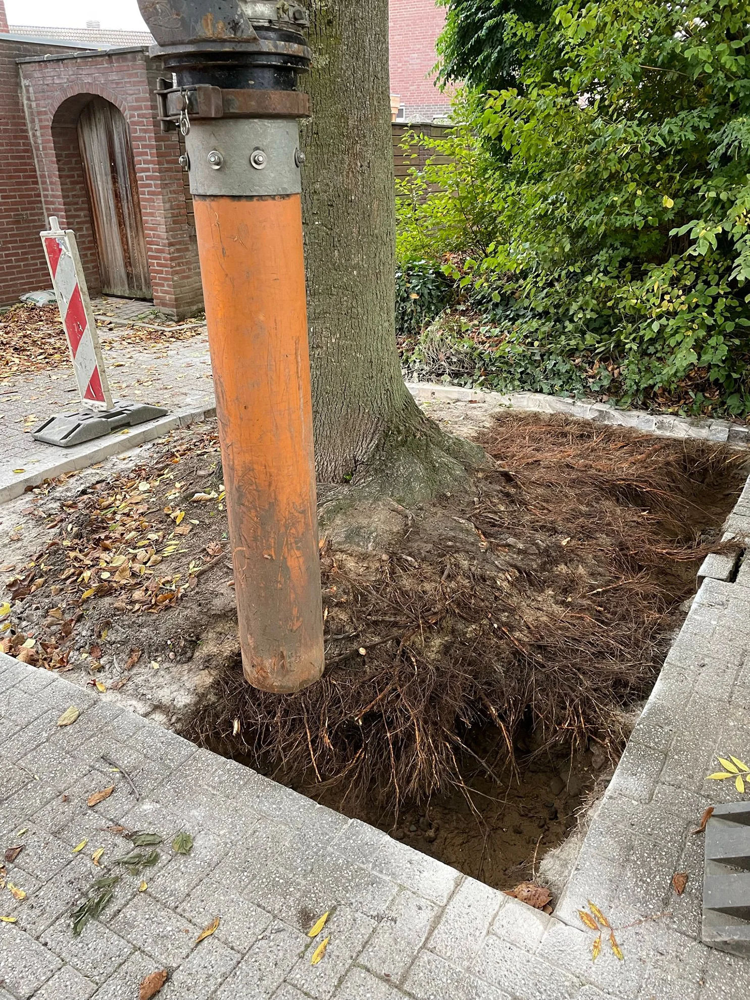 Moderne grondzuigwagen van Supply Grondzuigtechnieken - Boomverzorging