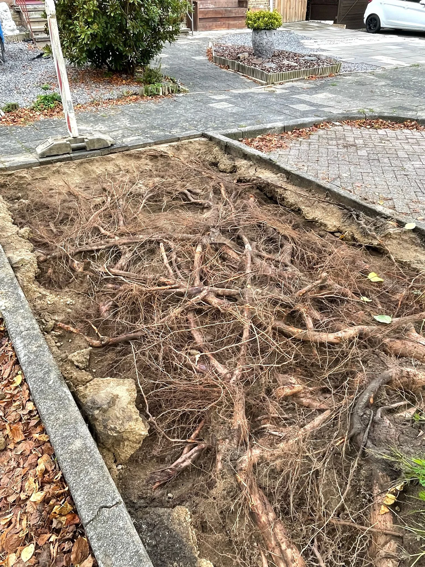 Moderne grondzuigwagen van Supply Grondzuigtechnieken - Boomverzorging